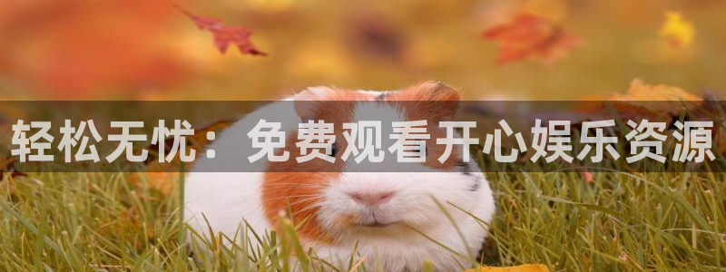 万事娱乐登录地址