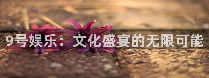 万事娱乐